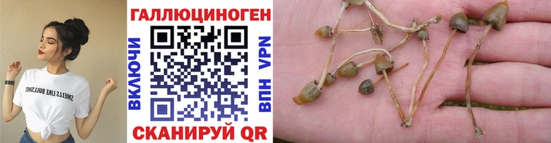 Галлюциногенные грибы ЛСД  купить закладку  Спасск-Рязанский 
